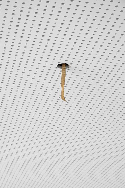 Martin Bruno Schmid, Archiv der ungeschriebenen Bücher, Université de Strasbourg